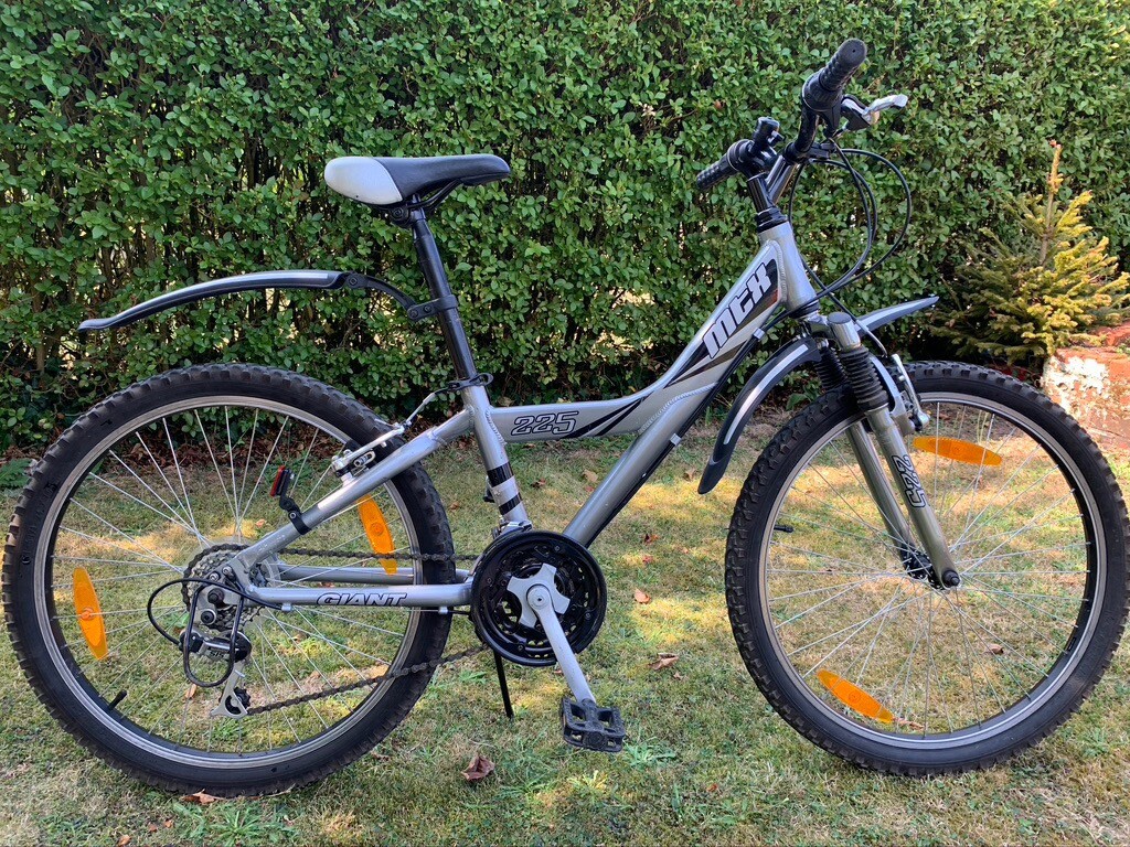 giant mtx 225 24 inch
